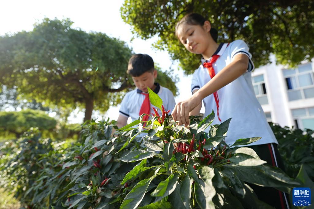 单机棋牌抢庄牛牛